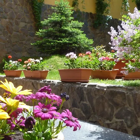 Hotel Coroana Brasovului