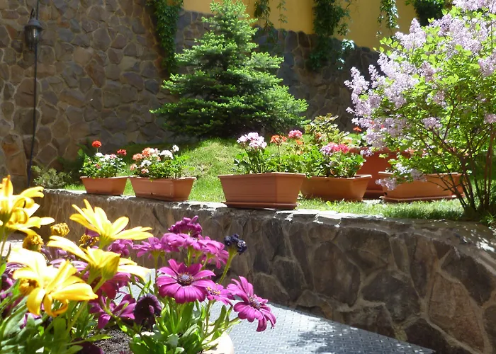 Hotel Coroana Brasovului Brașov